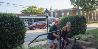 Shelton Apartments Gallery 37