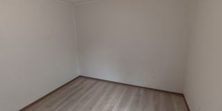 1627 Bold Ruler Gallery 24