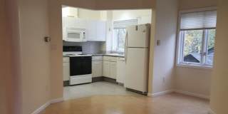 121 Longwood Ave. Gallery 1