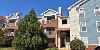 20979 TIMBER RIDGE Terrace Gallery 1