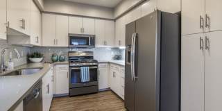 The Tradition Gallery 27