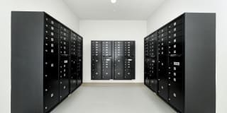 NOVO Avian Pointe Gallery 29