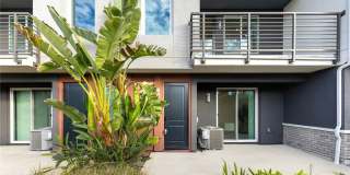 249 Steely Gallery 2