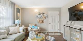 Sea Oats Sea Oats Gallery 91