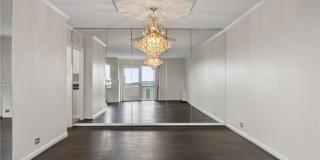 Algonquin Park Gallery 14