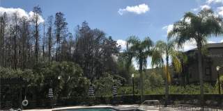 8541 BRUSHLEAF WAY Gallery 37