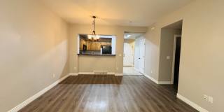 4518 Cave Run Lane - 4518 Gallery 32