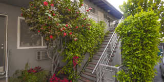 1215 Granville Ave. Gallery 25