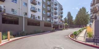 Heights By Vintage Gallery 33