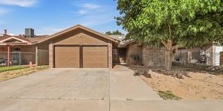10902 YOGI BERRA Circle Gallery 3