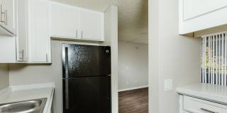 Surfcaster Gallery 17