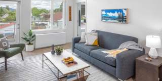 Solace Gallery 30