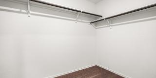 907 Stricker Path Gallery 15