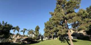 1512 Concord Way A Gallery 6