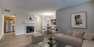 Timberglen Gallery 50