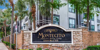 Montecito Gallery 24