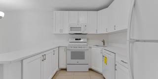 537 Shady Pine Way Gallery 14