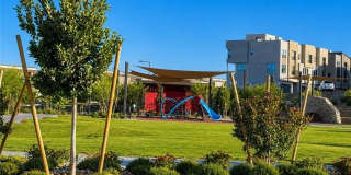 1482 Upland Sandpiper Street Gallery 46