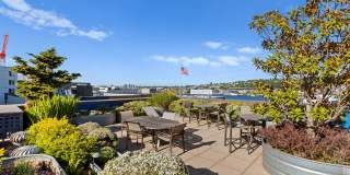 Dexter Lake Union Gallery 29