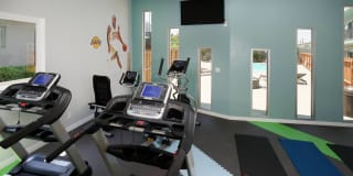 The Atrium Gallery 14