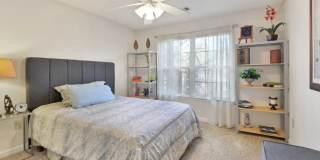 Carrington Point Gallery 5