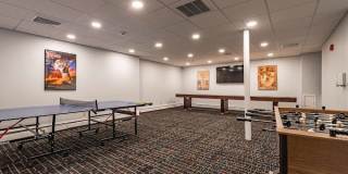 Tanglewood Village Gallery 10