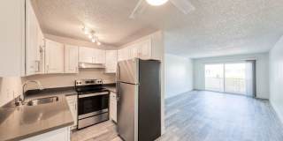 Fenix 424 Gallery 18