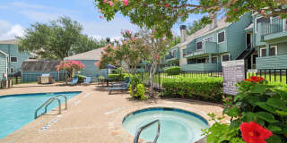Colinas Pointe Gallery 9