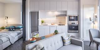 AdMo Heights Gallery 2