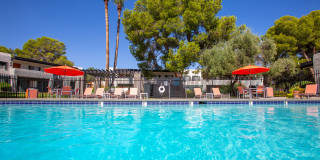 Icon on Pima Gallery 1