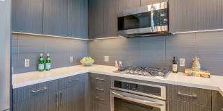 The Merian Gallery 49