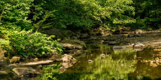 Atwell on Spring Gallery 81
