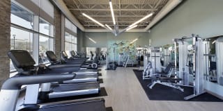 TGM Northshore Gallery 11