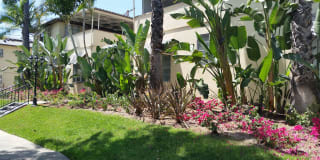 South Olive Gallery 15