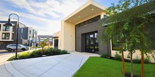The Medley Gallery 14