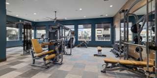 Homecoming at Kiley Ranch Gallery 33