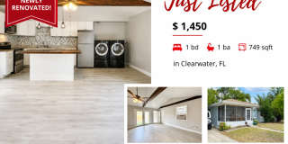 1436 San Juan Court -B 1436 San Juan Court -B Gallery 1