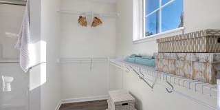 River Birch Apartments Gallery 18