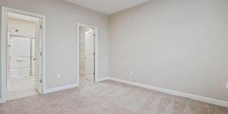 5137 Foxtail Pine Street Gallery 19