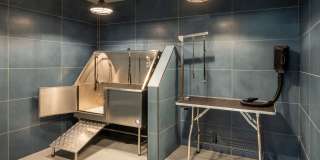 75 Canal Gallery 15