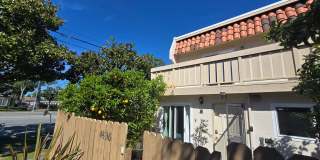 4836 El Poco Common Gallery 1