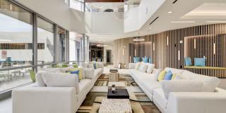 The Oxford Gallery 26