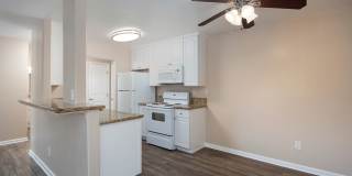 Volterra at La Mesa Gallery 65