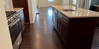 42 HOLLAND Avenue Gallery 12