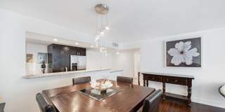 1147 Hillsboro Mile Gallery 9