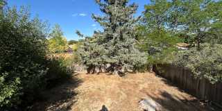 Adorable Duplex Unit in Northwest Loveland Gallery 23