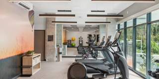 Cru at Willows Gallery 5