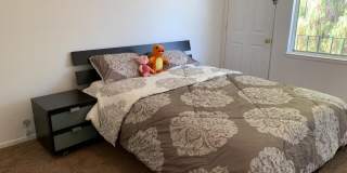 615 Alpha CT Gallery 2
