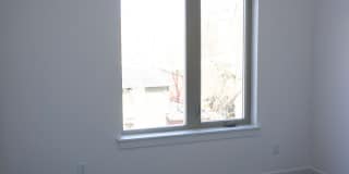 Mag02 - Sw Magnolia Gallery 37