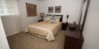 Salem Wood Gallery 16